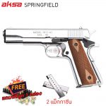 AKSA-M1911-SV-SPRINGFIELD 1_1000x1000